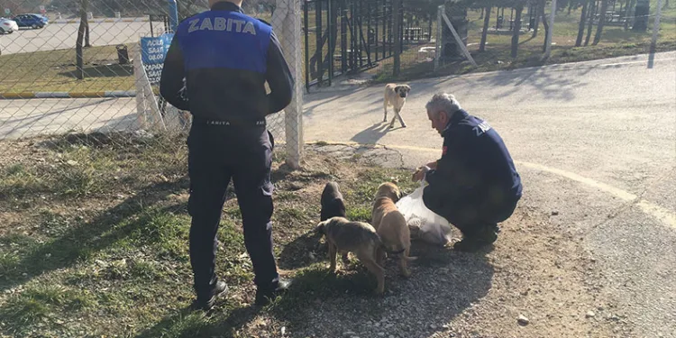 Niğde’de uyuşturucu operasyonu: 4 tutuklama