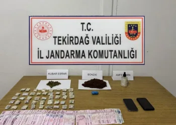 Suç makinesi kardeşleri Nazilli polisi affetmedi