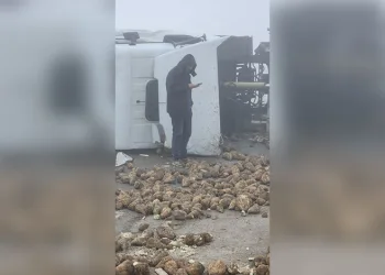 Çaldıkları motosikletin şase numarasını kazımışlar