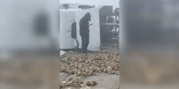 Çaldıkları motosikletin şase numarasını kazımışlar