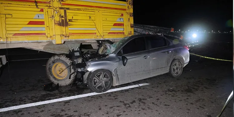 Sinop’ta 560 adet uyuşturucu hap ele geçirildi
