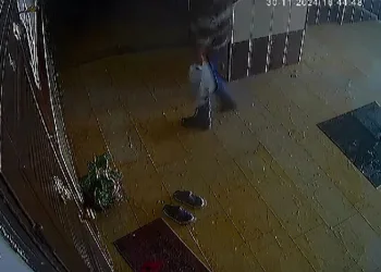 Van’da refüje çarpan otomobilin sürücüsü yarandı