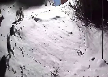 Müşteri gibi geldiler, çilingir sofrasını bedavaya getirdiler