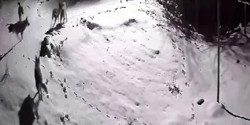 Müşteri gibi geldiler, çilingir sofrasını bedavaya getirdiler