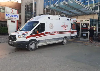 Şırnak’ta gümrük kaçağı ürün ele geçirildi, 27 şüpheliye işlem yapıldı
