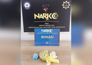 Bingöl’de 3.5 büyüklüğünde deprem
