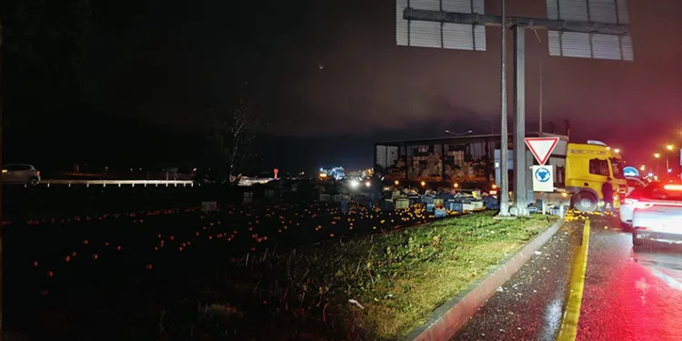 19 İlde Gürz-30 Operasyonu: 40 Gözaltı