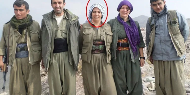 MİT’ten Suriye/Kamışlı’da nokta operasyon