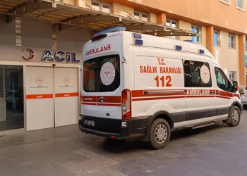 Bilecik’te meydana gelen trafik kazasında 1 kişi yaralandı