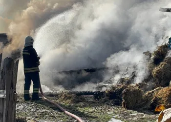 Samanlık ve ahır küle döndü: 3 büyükbaş telef oldu, 17’si kurtarıldı