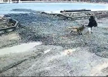 Narin cinayeti davası sanığı Nevzat Bahtiyar: ”Narin’i ben öldürmedim, sadece taşıdım’’