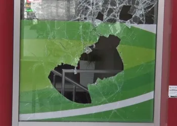 Sahte çek karmaşası