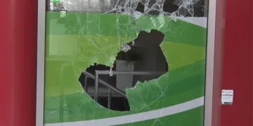 Sahte çek karmaşası