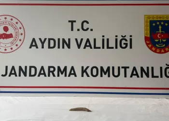 19 İlde Gürz-30 Operasyonu: 40 Gözaltı