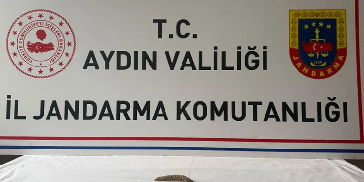 19 İlde Gürz-30 Operasyonu: 40 Gözaltı