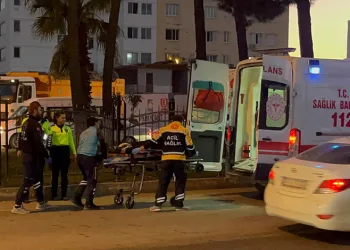 Seyir halindeki tır alev alarak yandı