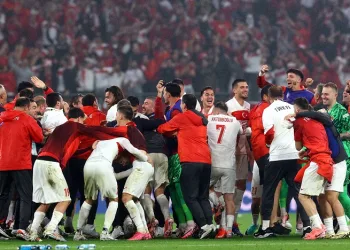 A Milli Takımın başarılı yılı
