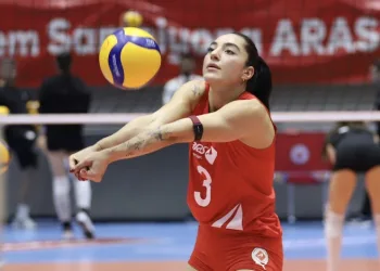 Aras Kargo, Güle Erdemir ile yollarını ayırdı