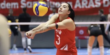 Aras Kargo, Güle Erdemir ile yollarını ayırdı