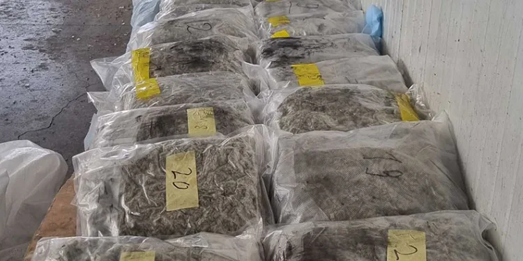 Sınırda 400 bin dolarlık uyuşturucu yakalandı