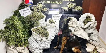Hayvan damında uyuşturucu imalatı ve ticaretine polis operasyonu