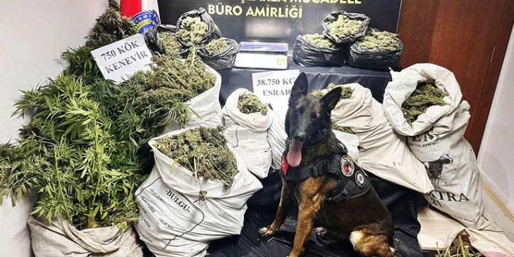 Hayvan damında uyuşturucu imalatı ve ticaretine polis operasyonu