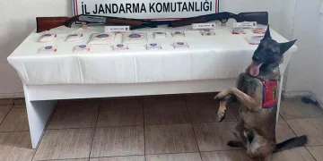 İzmir’de uyuşturucu operasyonuna 3 gözaltı