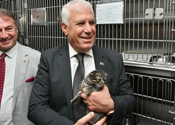 Bursa Büyükşehir’den can dostlara şefkat