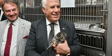Bursa Büyükşehir’den can dostlara şefkat