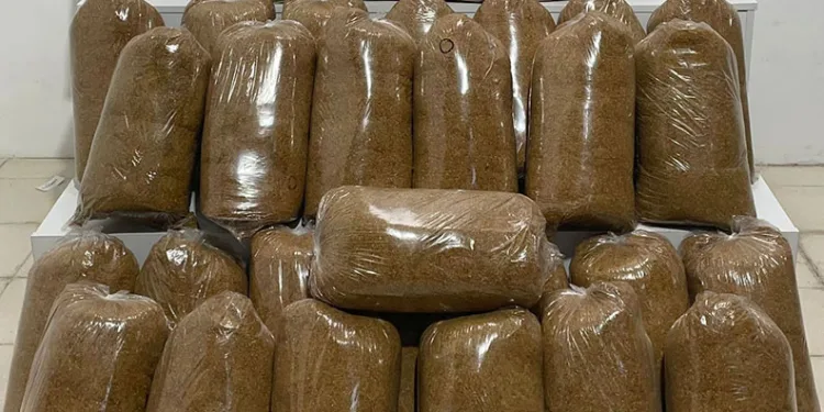 Samsun’da 200 kilo kaçak tütün ele geçirildi
