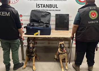 İstanbul’da uyuşturucu operasyonu