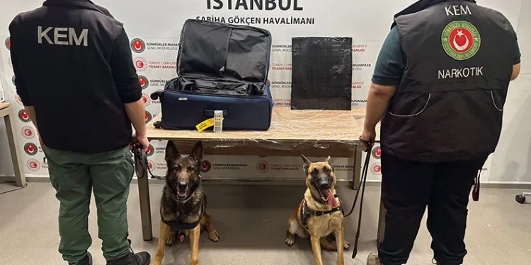 İstanbul’da uyuşturucu operasyonu