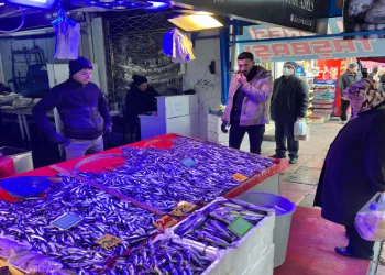 Soğuk havayla balığa rağbet arttı