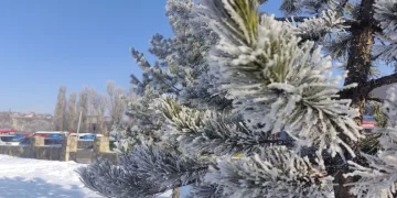 Ardahan’da sibirya soğukları