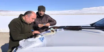 Kaçak avlanan şahsa ceza uygulandı