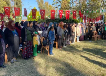 “Yeşil Altın Zeytin Festivali” düzenlendi