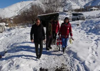 Aşı ve küpe çalışmaları sürüyor
