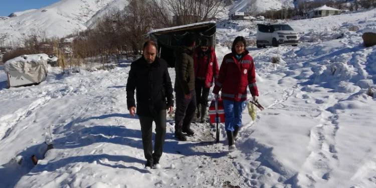 Aşı ve küpe çalışmaları sürüyor