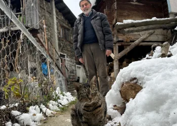 Kedileri için karlı yolları aşıyor