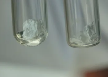 Van’da “kapsüllenmiş maya” üretildi