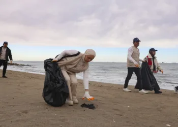 Gençler, Viranşehir sahilinde temizlik yaptı