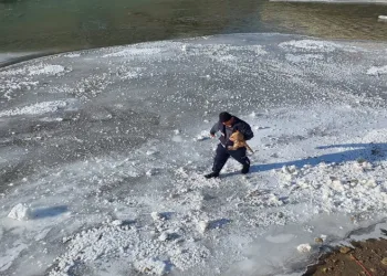 Nehirdeki kediyi itfaiye kurtardı