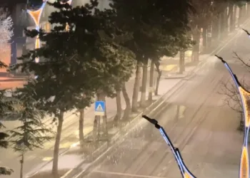 Tatvan’da kar yağışı beyaza bürüdü