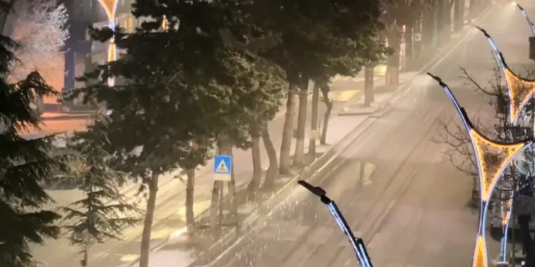 Tatvan’da kar yağışı beyaza bürüdü