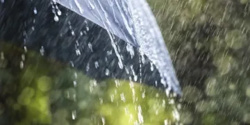 Aydın’da yağışlı hava etkili olacak