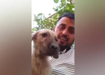 Ağır hasarlı binaya asansörlü nakliye