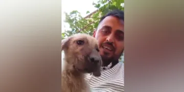 Ağır hasarlı binaya asansörlü nakliye