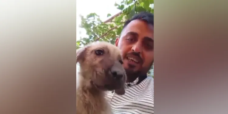 Ağır hasarlı binaya asansörlü nakliye