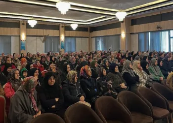 Aile korunması ve şiddete yönelik panel