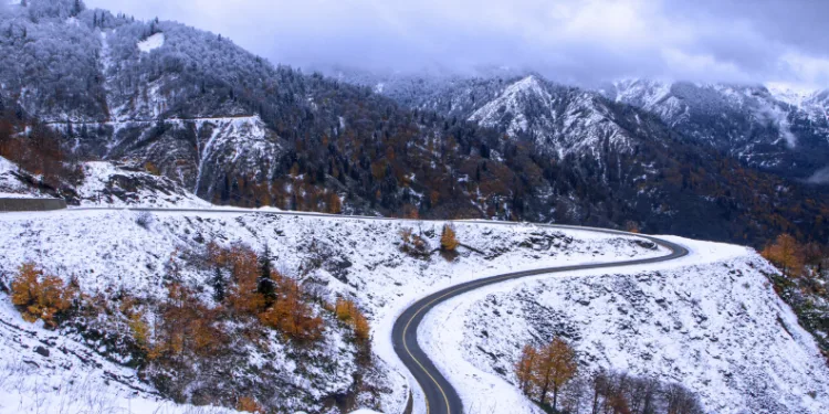Yeşil Yol Projesi ile doğa turizmi canlanıyor